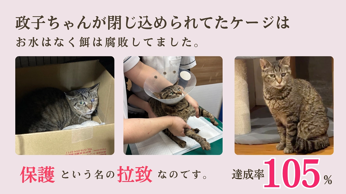 犠牲が出る前に──助けたい命があります。【政子ちゃんの救出】