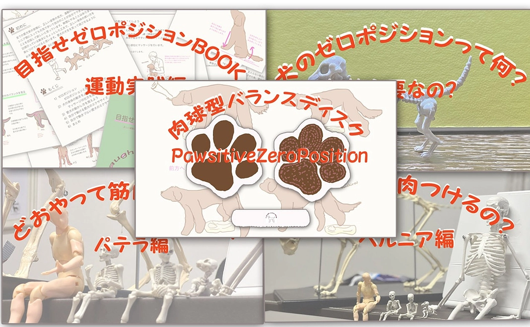 25　バランスディスク＆犬のゼロポジマニュアル＆セミナー動画3本
