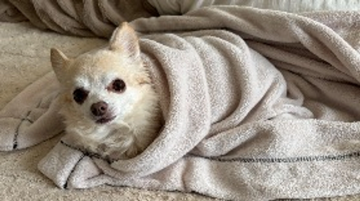 手術をすれば治る病気、そうではない病気