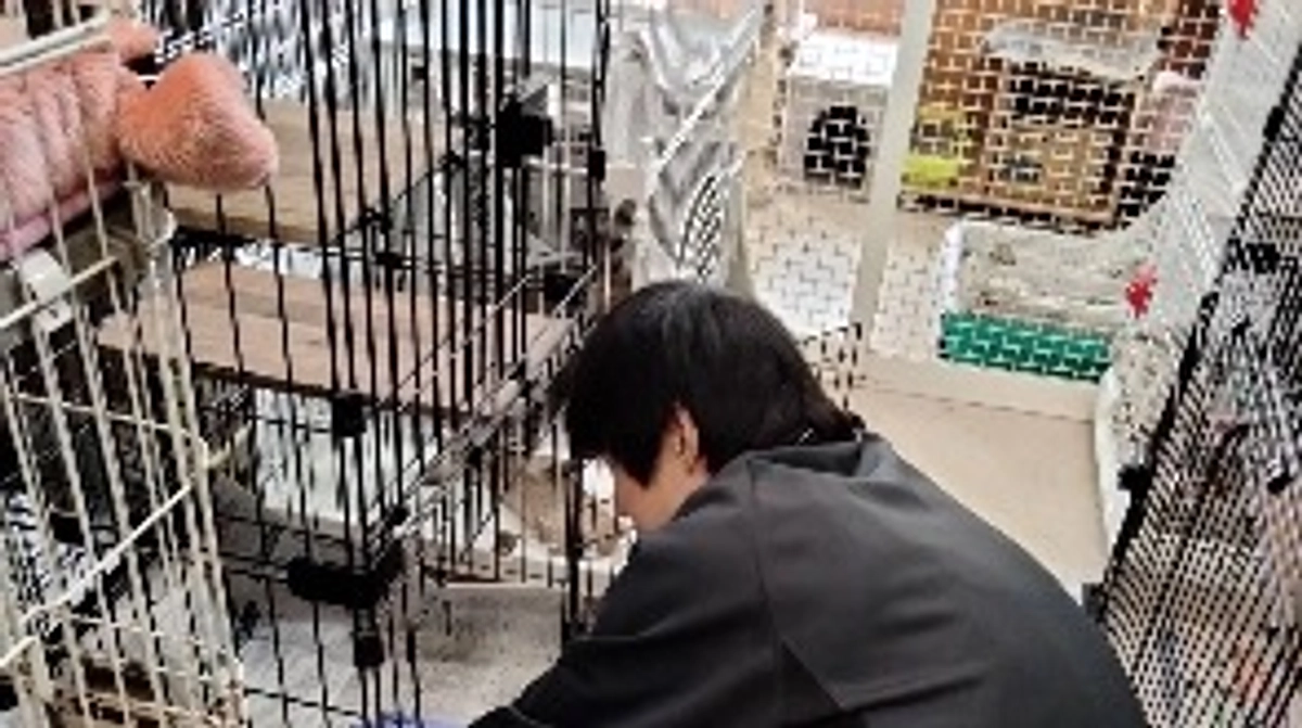 【メッセージリレー#1】水内雄大さん、猫舎ボランティアの方からのメッセージをいただきました。