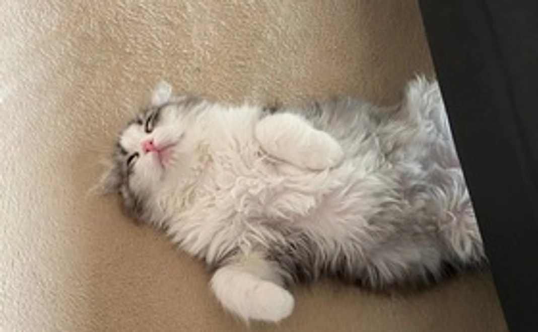 感謝のメールをお送りします