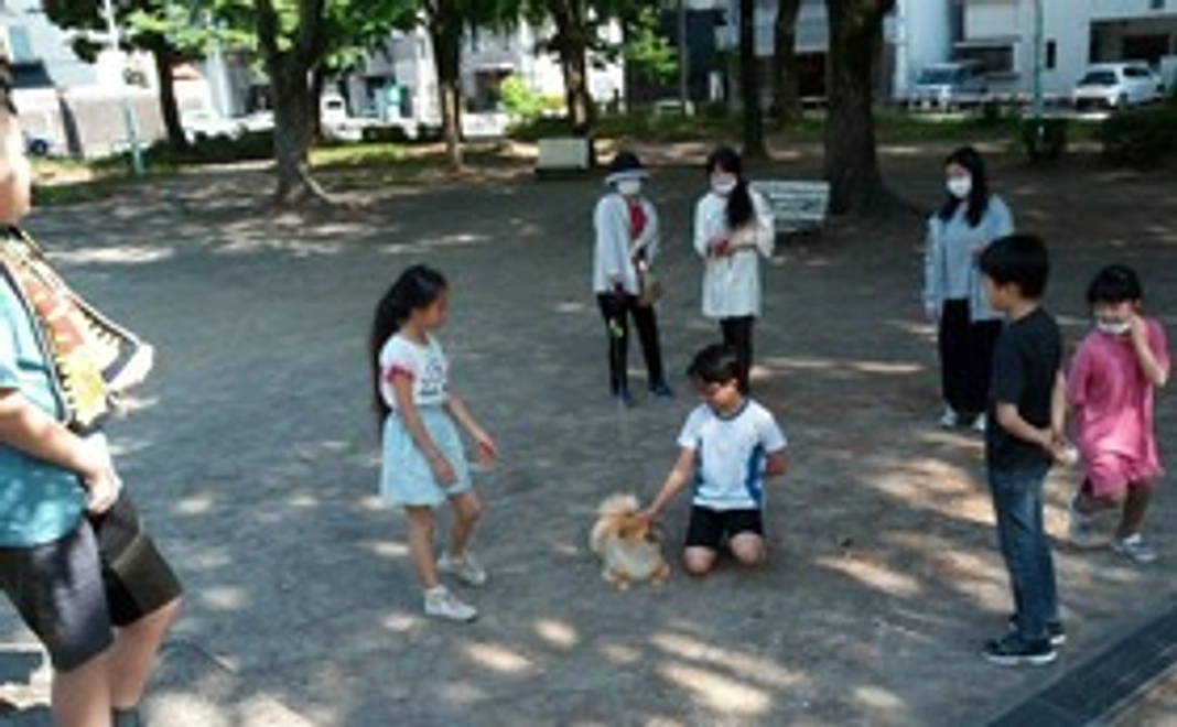 もっと応援コース♪