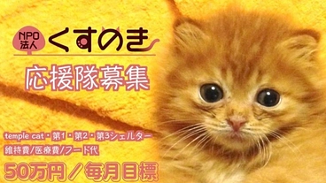 25名のくすのき応援隊募集キャンペーン☆無垢な瞳に目眩い未来を のトップ画像