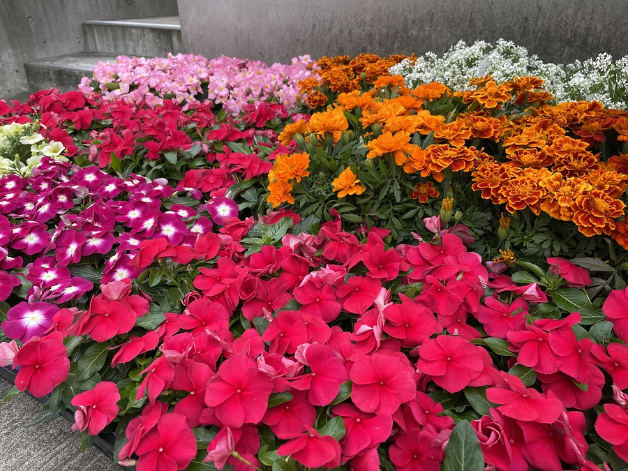 400万円達成しました（目標600万円！）