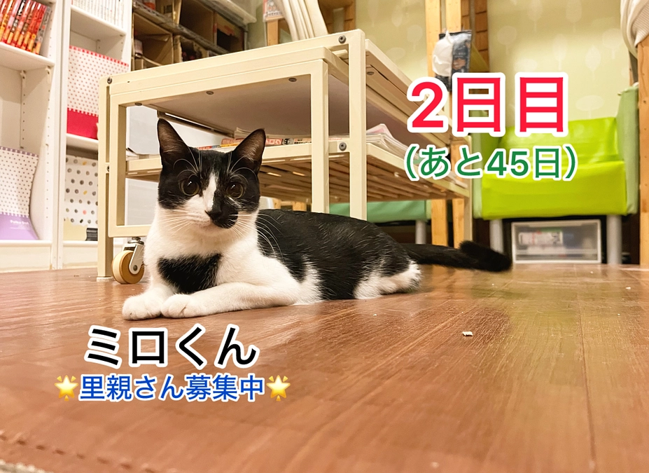 1日目の目標金額を達成できました！（2/14　2日目）