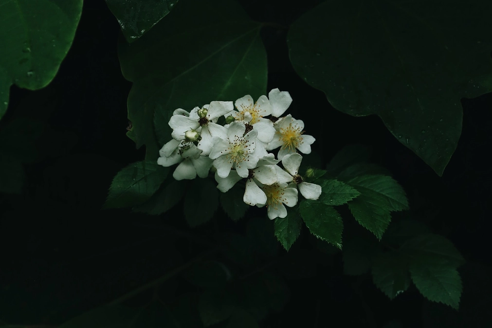 あと1日 | 第二目標400万円まであと40万円