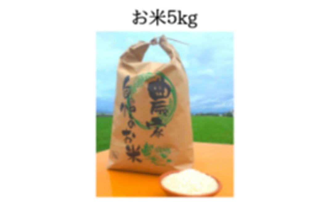 お米5kg