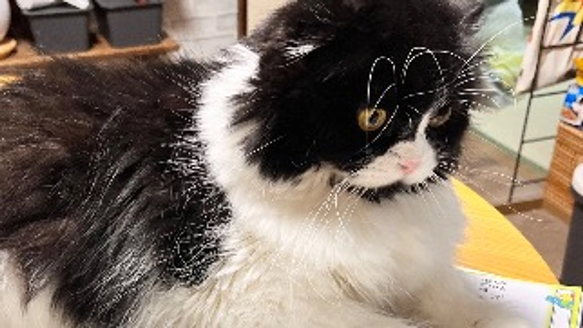 残り４日、達成率48%