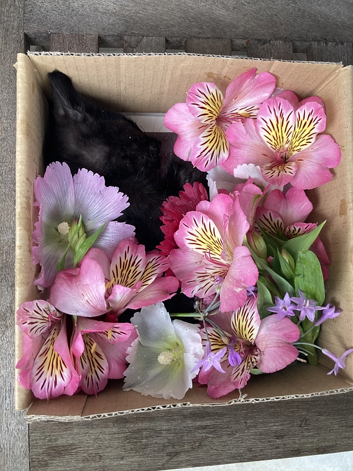 悲しいお知らせです、、