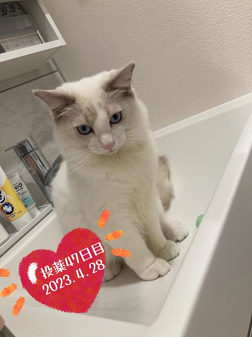 投薬４７日目(2023.4.28)&ご支援のお知らせ