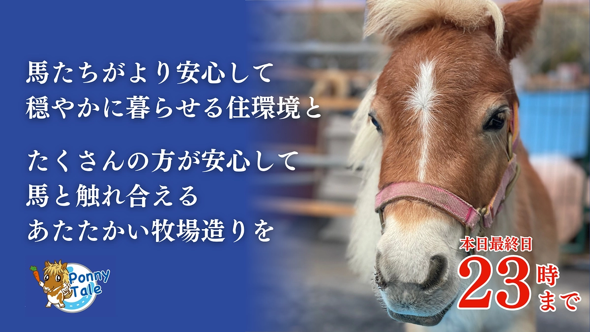 【本日最終日】最後まで応援よろしくお願いいたします。