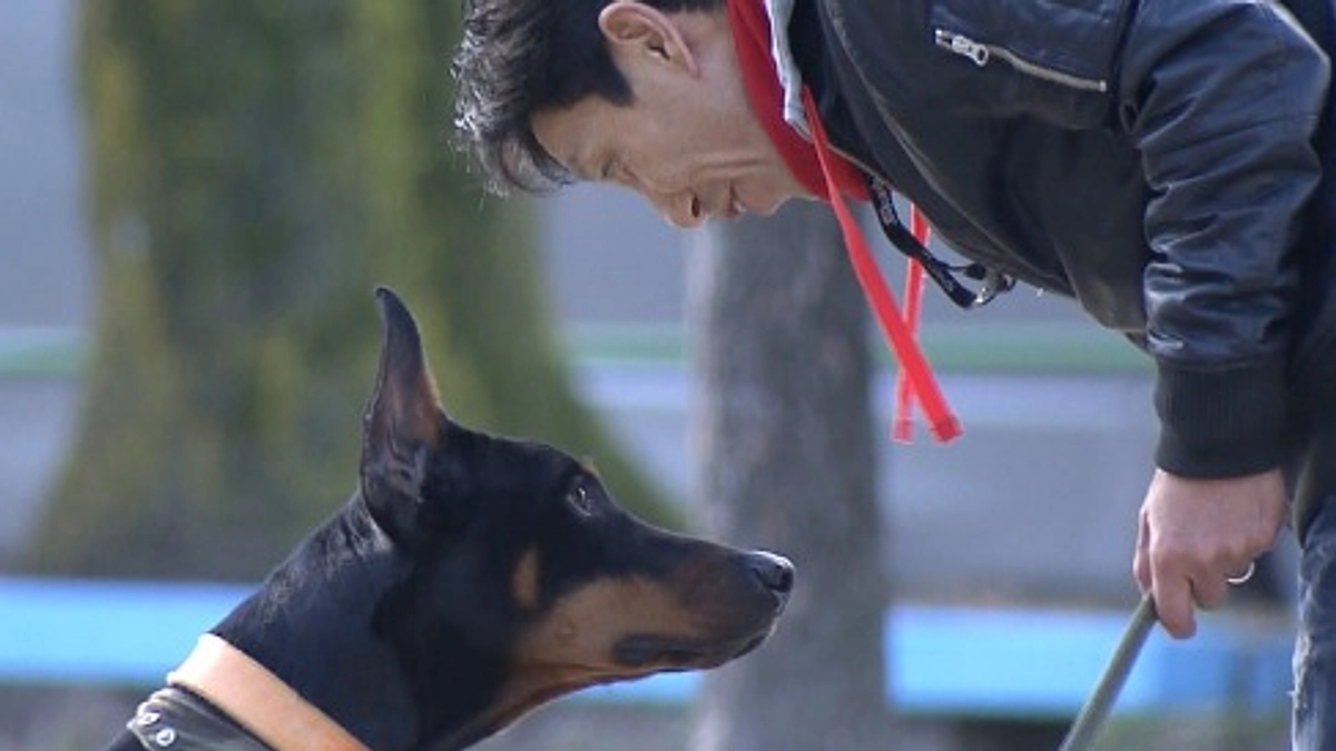 【高齢者と暮らしていたドーベルマン】人を咬み、殺処分寸前だったが「殺処分ゼロ」の旗印になり…