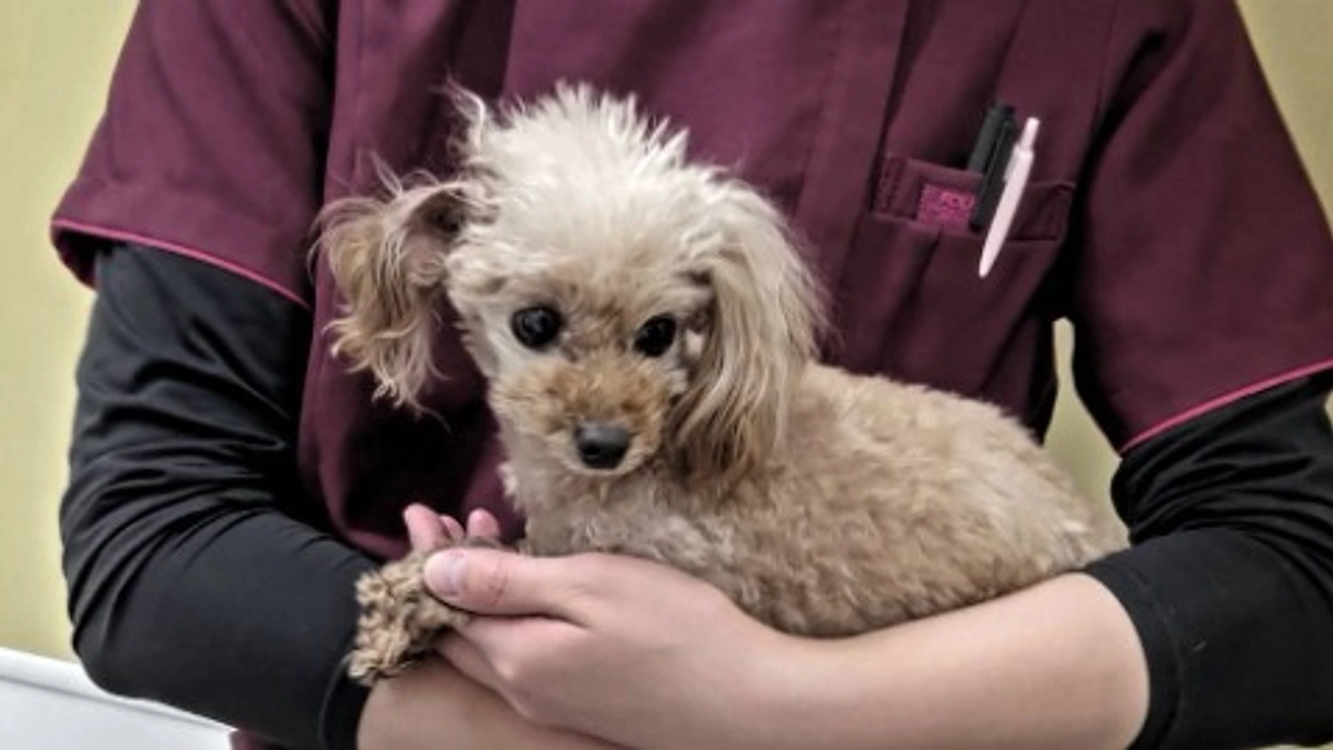 診察予約日で受診