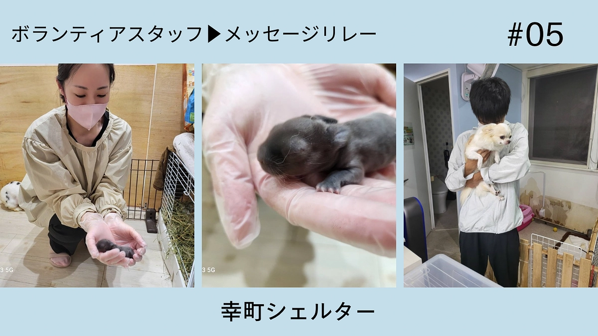 ボランティアスタッフメッセージリレー【幸町シェルター】