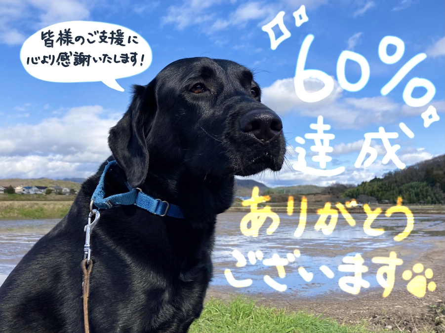 60％達成しました✨