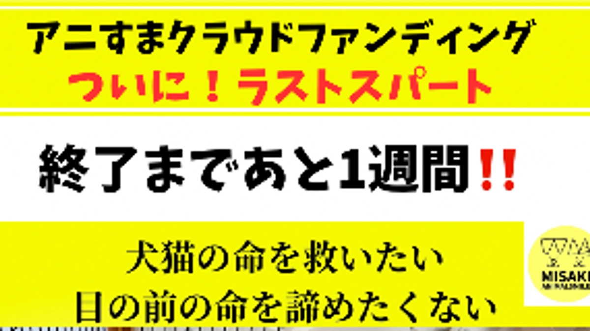 遂にあと1週間/本当にラストスパートとなりました