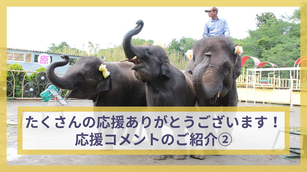 最終日！たくさんの応援コメントありがとうございます！【応援コメントのご紹介②】