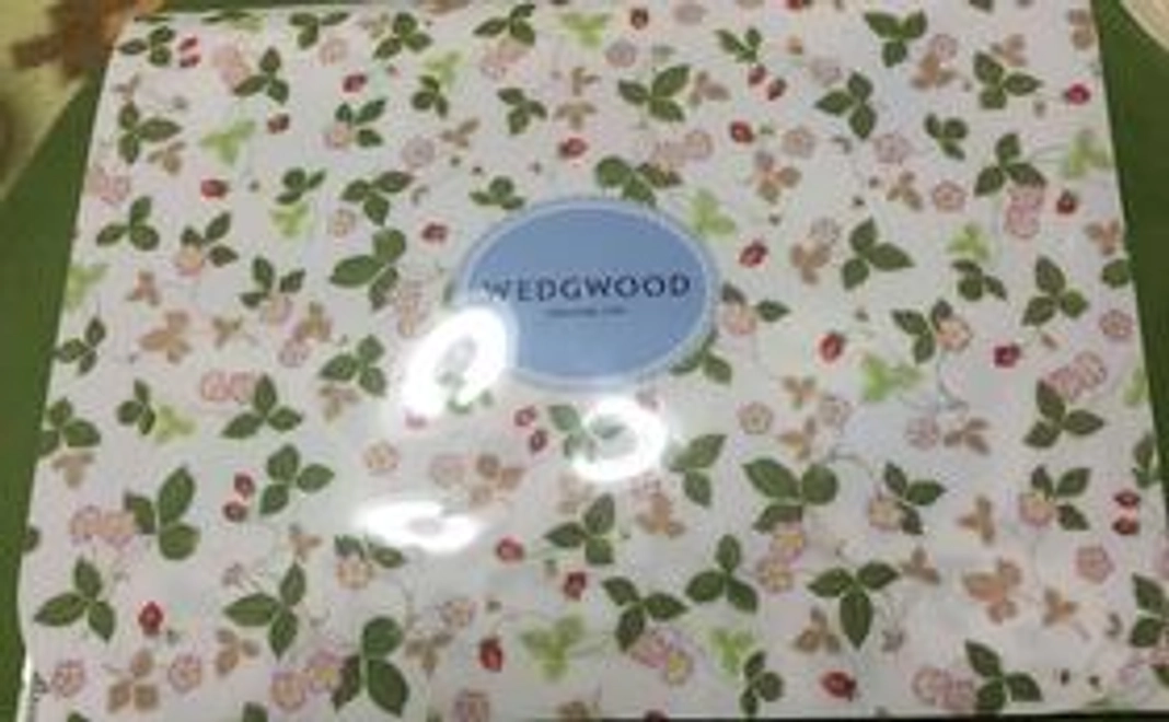 メールカウンセリング無料券