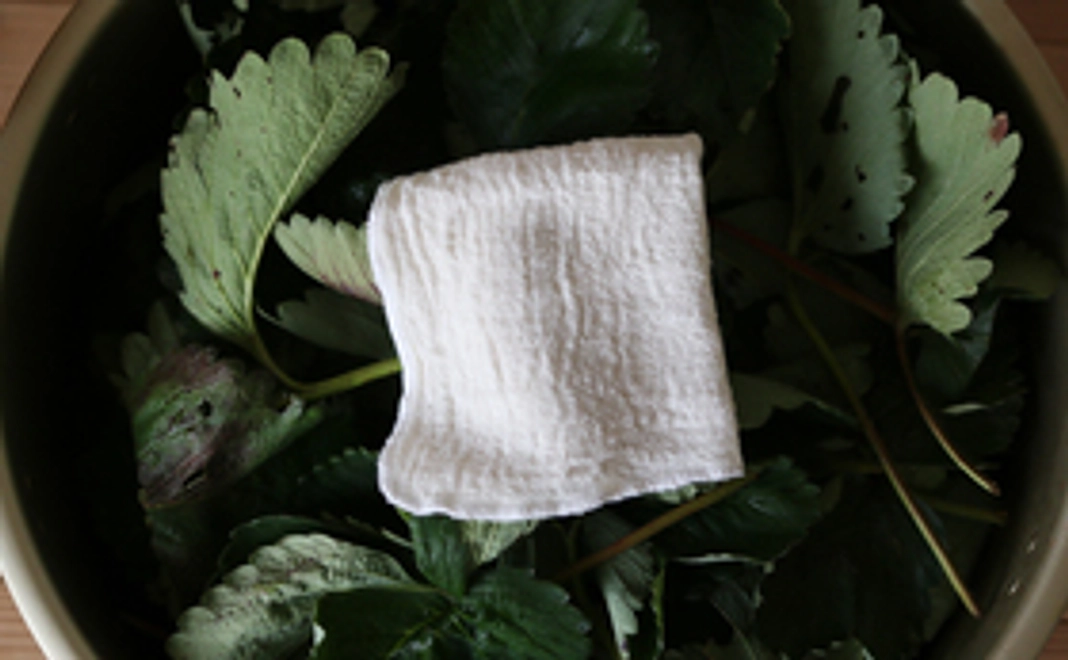 イチゴの葉染めハンカチ