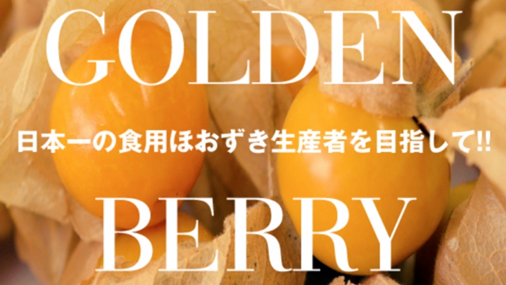 日本一の食用ほおずき生産者を目指して!!