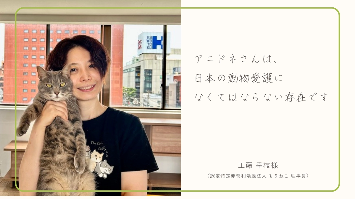 【あと6日】工藤 幸枝様（認定特定非営利活動法人 もりねこ理事長）からの応援メッセージのご紹介！