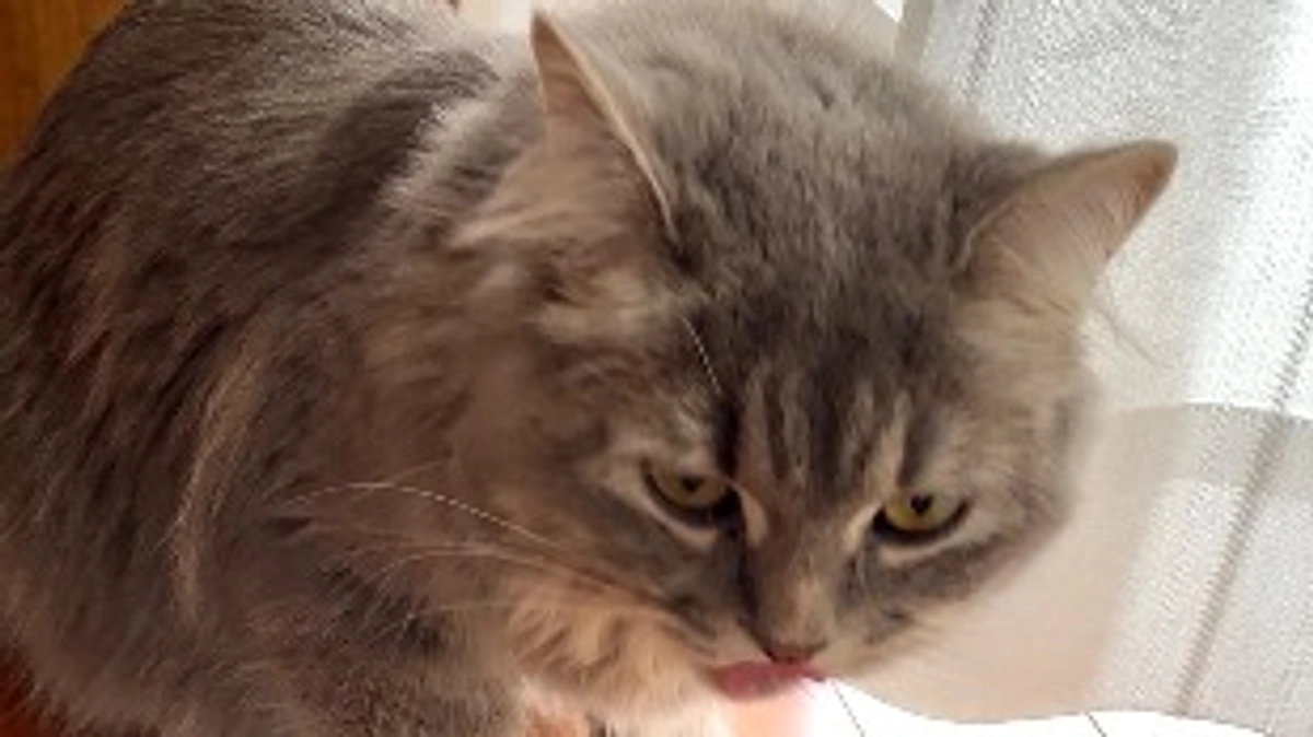 10/4  闘病38日目