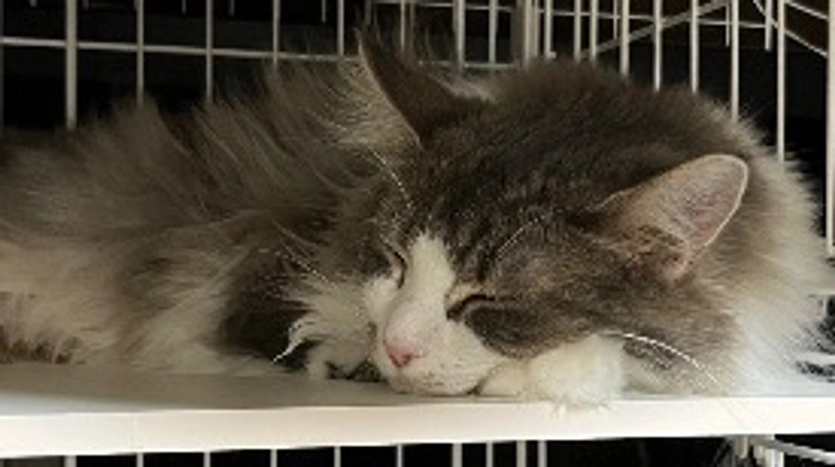 経過報告④クラファン終了まで残り9日‼️💦