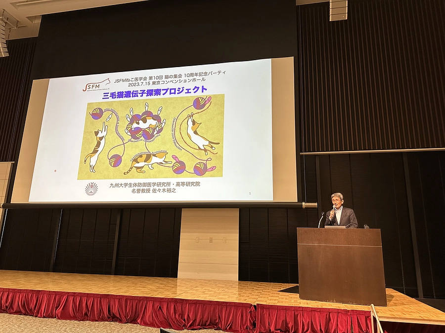 ねこ医学会で講演させていただきました