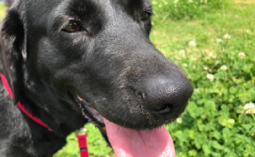 【豪華なリターン不要な方へ】