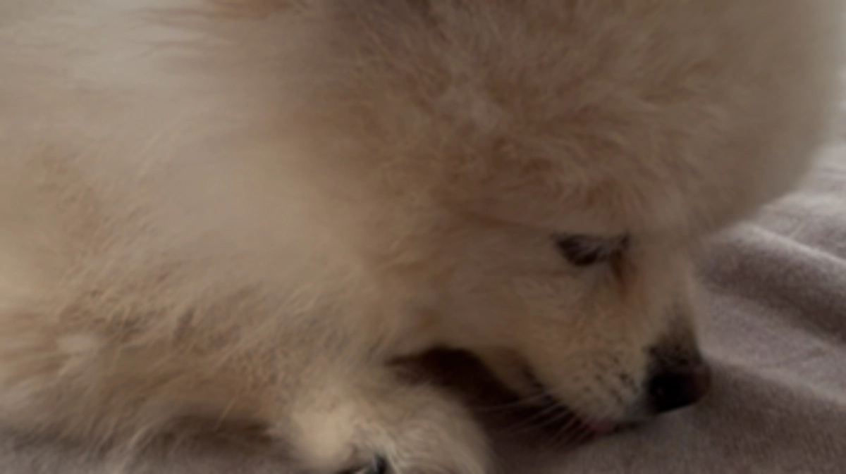 公開３１日目（残り８日）