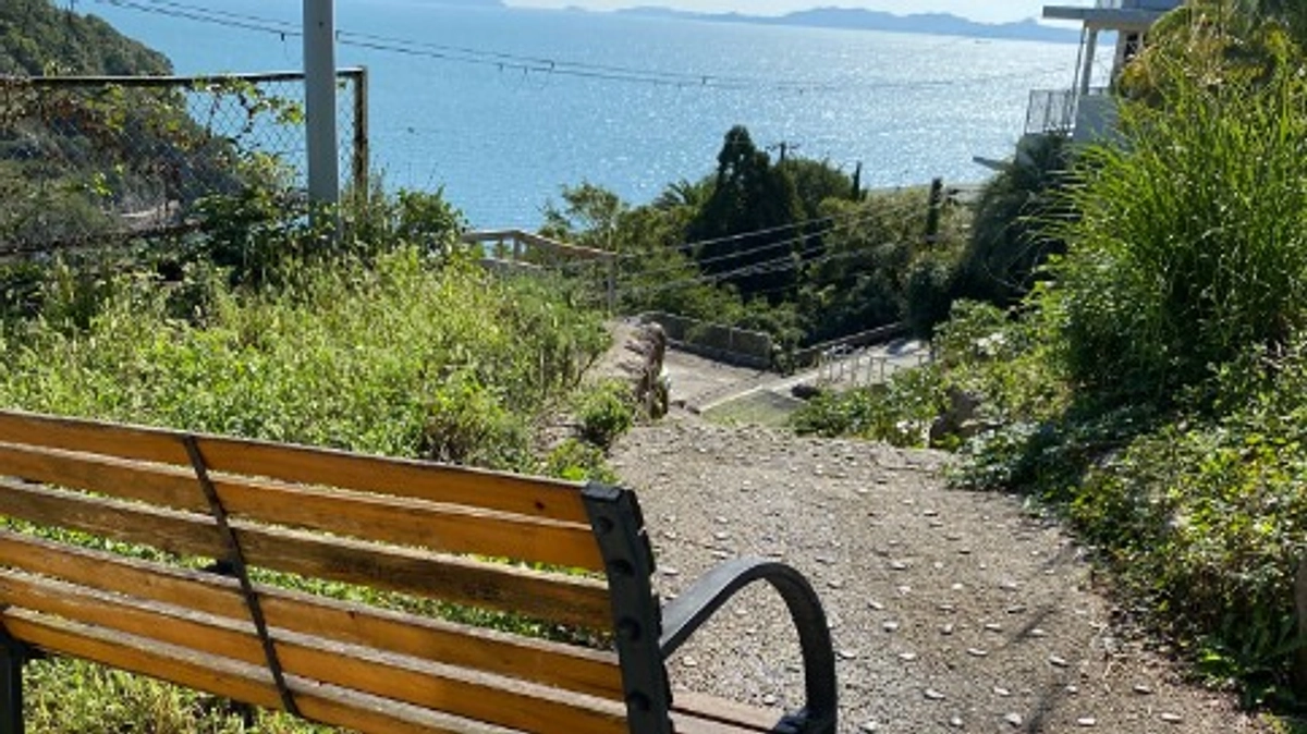 ベンチ、流木をワルリ画のキャンバスに。