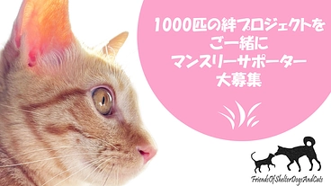 1000匹の絆プロジェクトをご一緒に｜マンスリーサポーター大募集 のトップ画像
