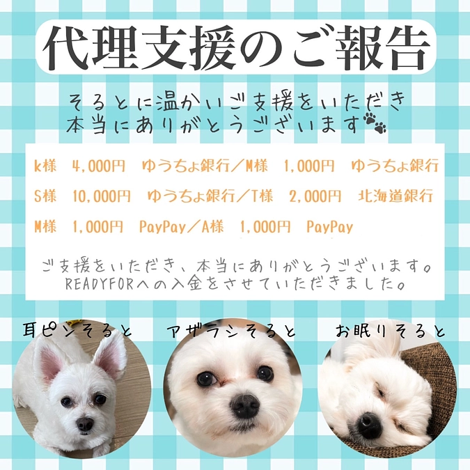 代理支援いただきましたご報告です