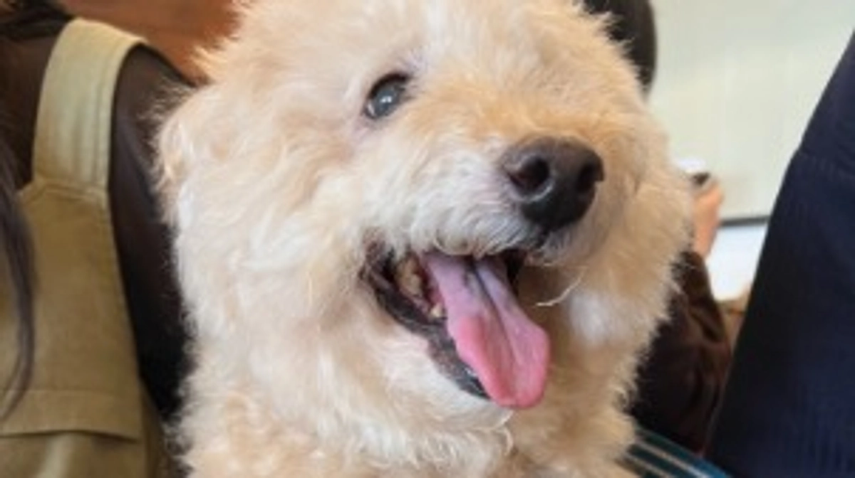 明後日は通院の日です