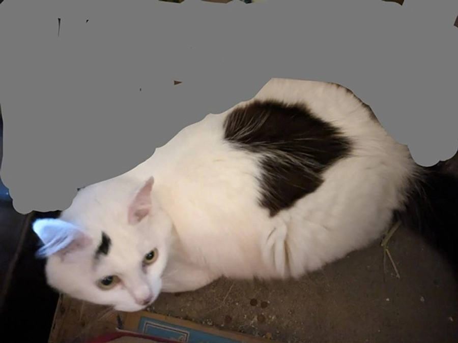 経過観察20日目