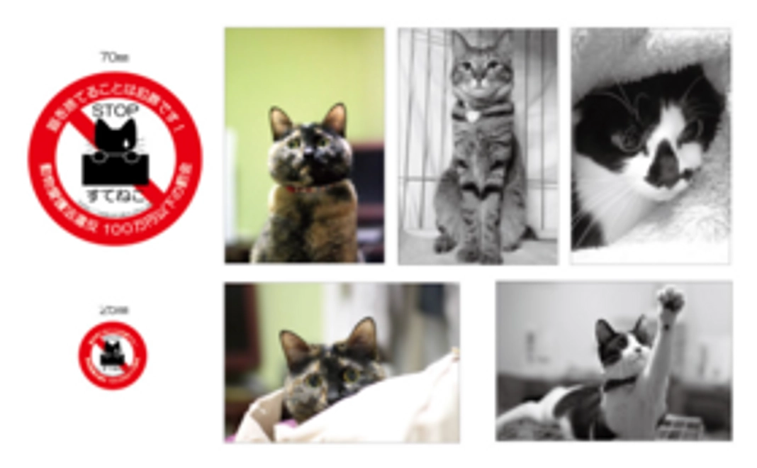 nekonokoグッズ２点セット