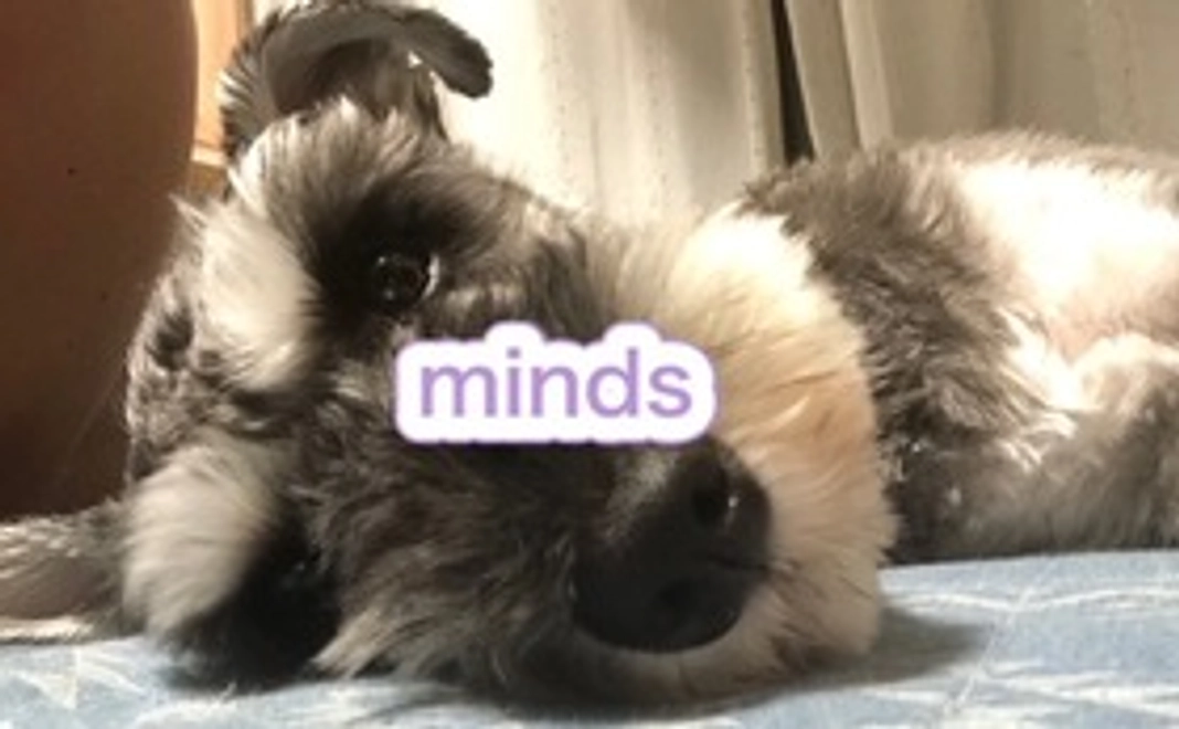 １、とっても気軽に応援コース