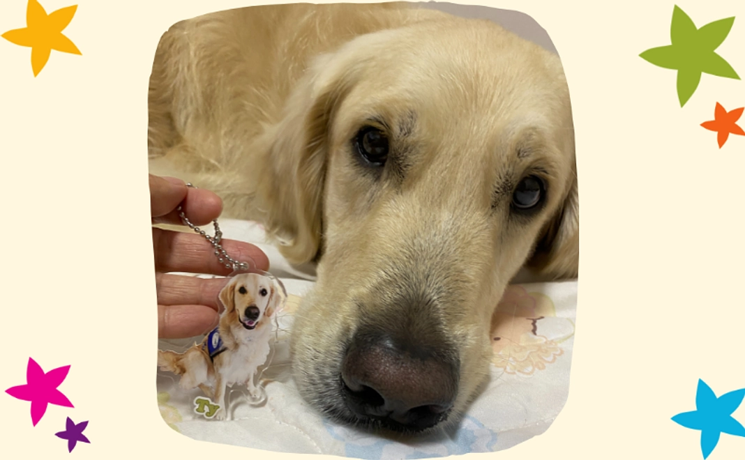 【新作・タイ】アクリルキーホルダー【税制優遇対象外】