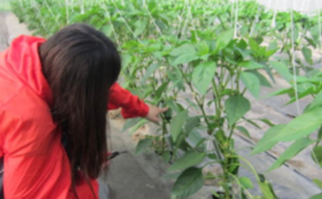 新規就農を応援コース