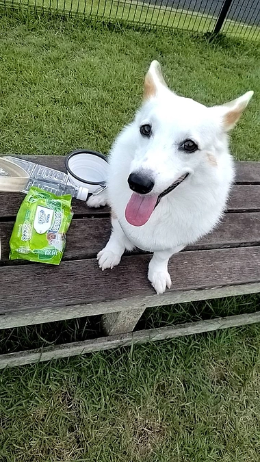 クルミ抗がん剤治療