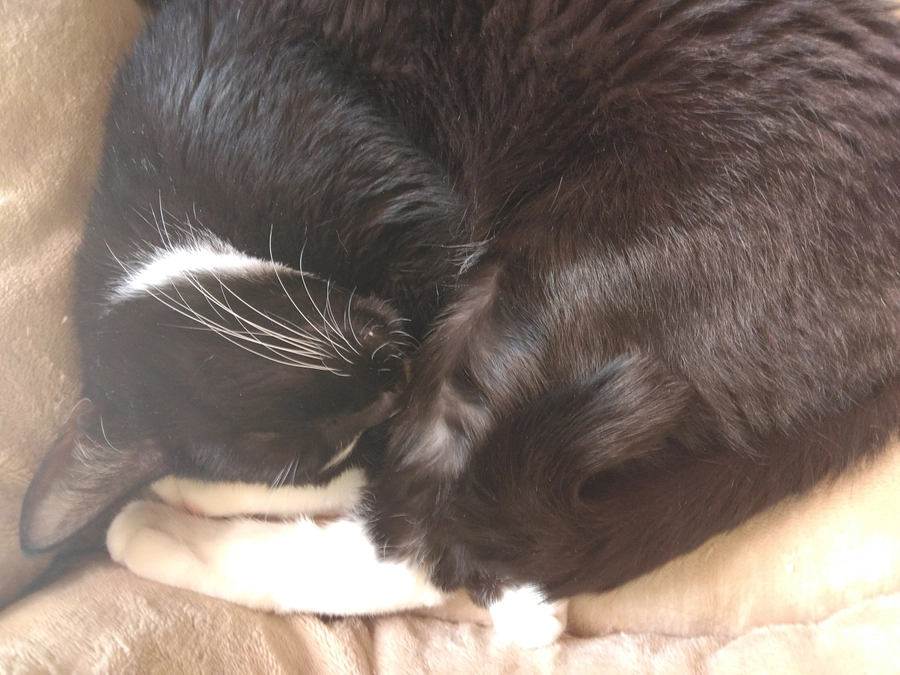 5/2はなちゃんの様子