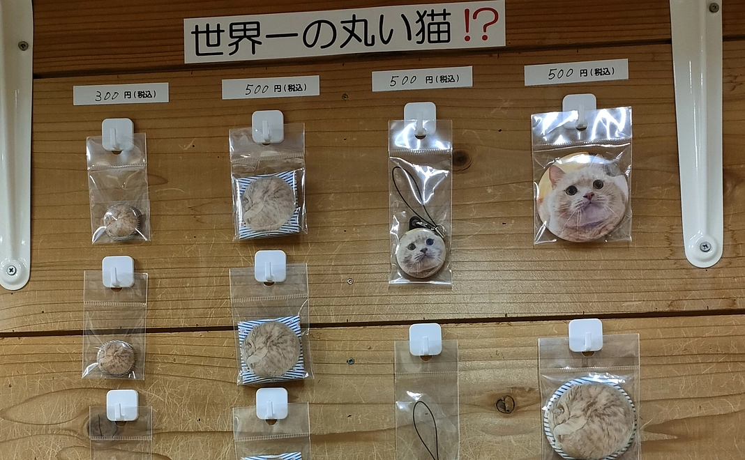 毎月応援 1,000円コース