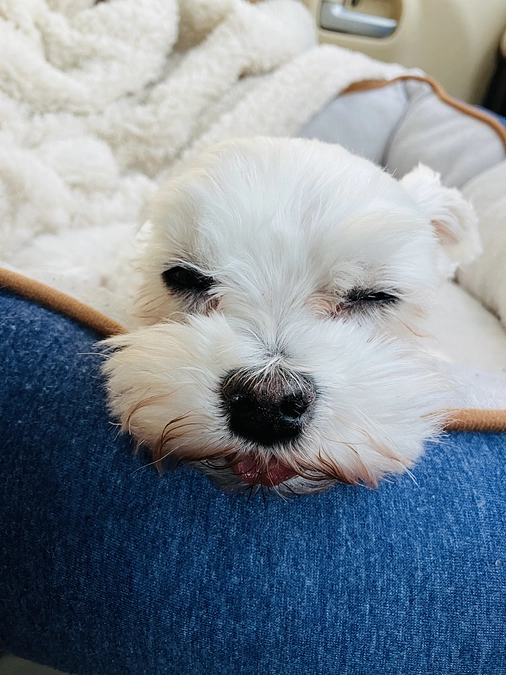 手術まであと5日です！