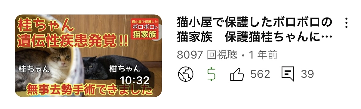 今日から家族一緒に生活できるようになりました