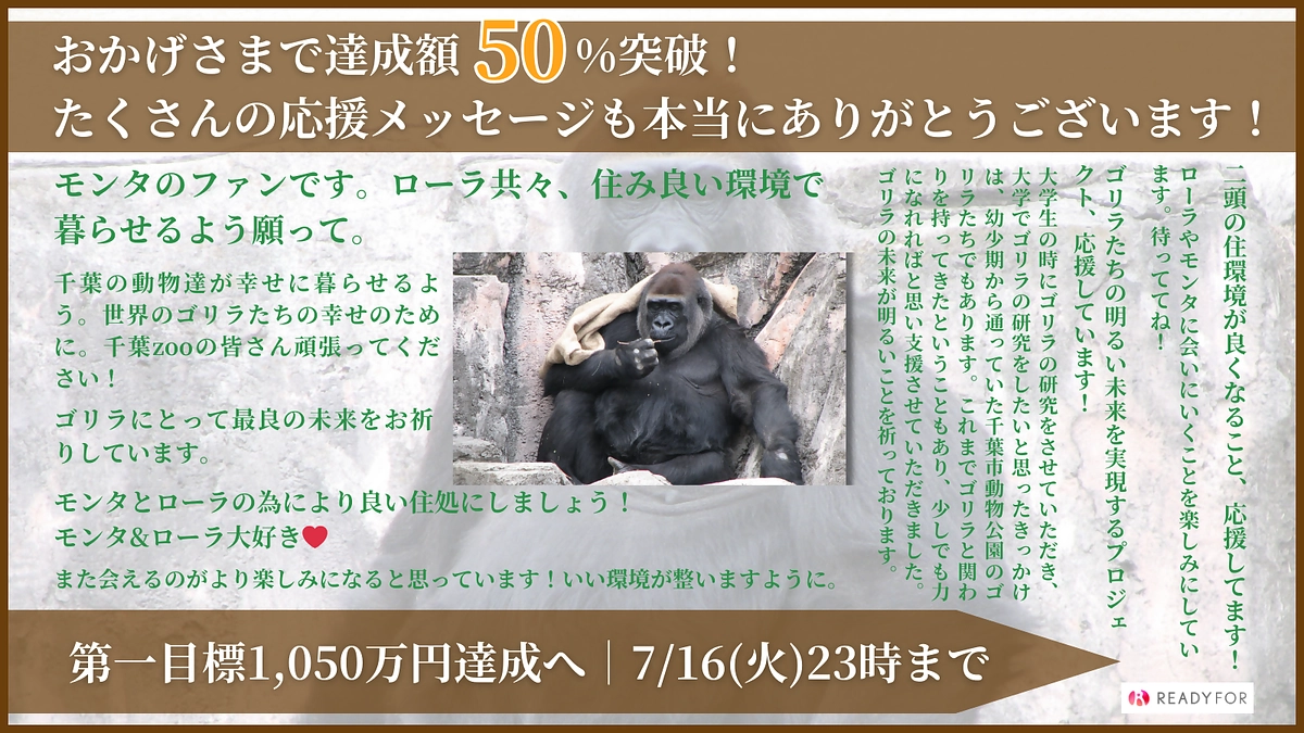 おかげさまで達成額５０％突破しました！！