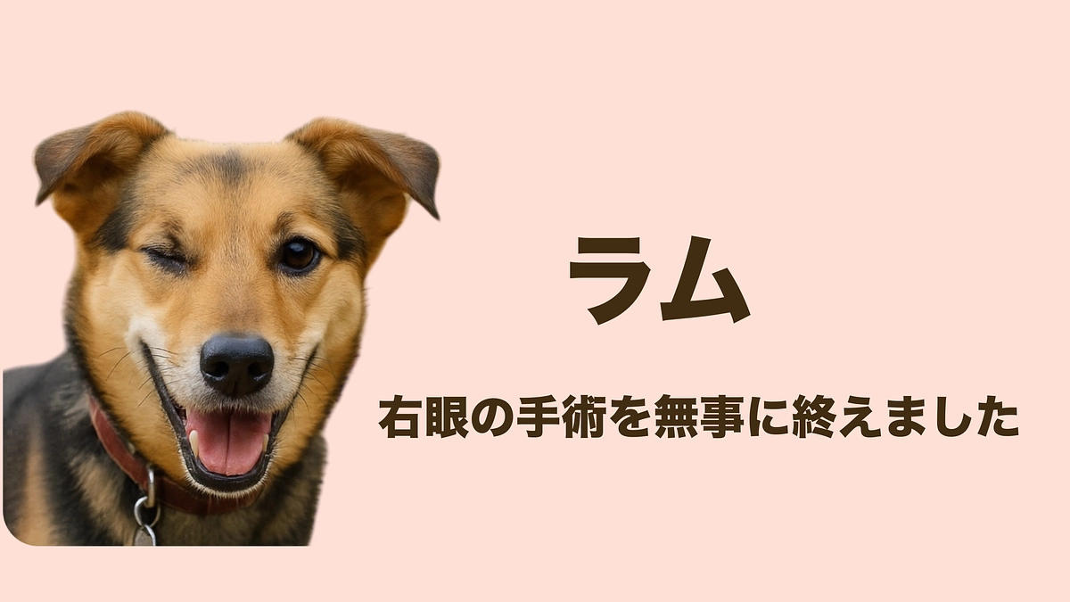 片方の光になっても…