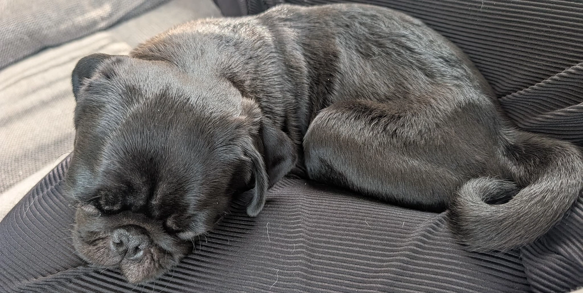 ユッケが足の間の安心を覚えた!🤭