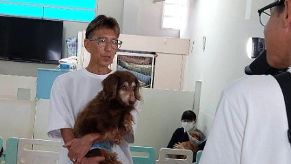 残り4週間！今日はＢＳーＴＢＳの犬番組の取材を受けました