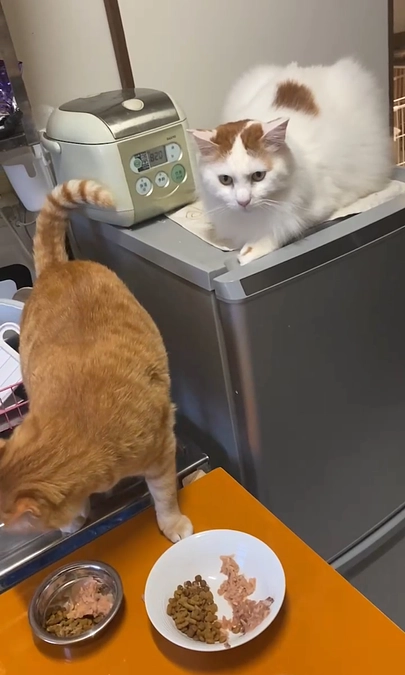 もう６月ですね！