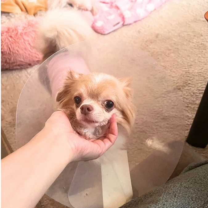 昨日無事に退院致しました！☺️